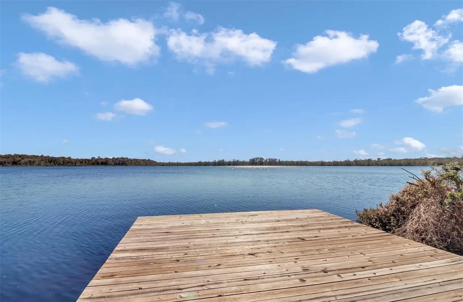 17830 NE 49TH STREET RD, SILVER SPRINGS, FL — photo 3