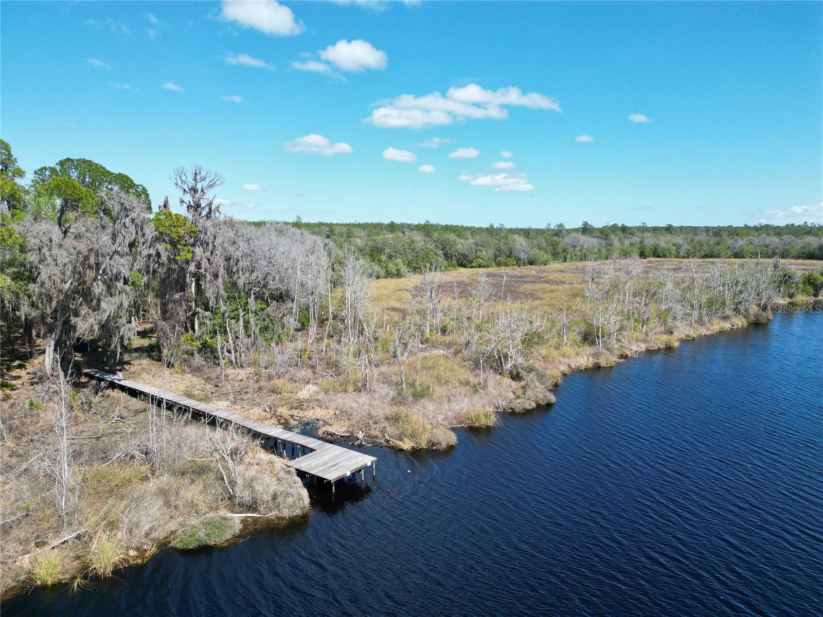 17830 NE 49TH STREET RD, SILVER SPRINGS, FL — photo 4