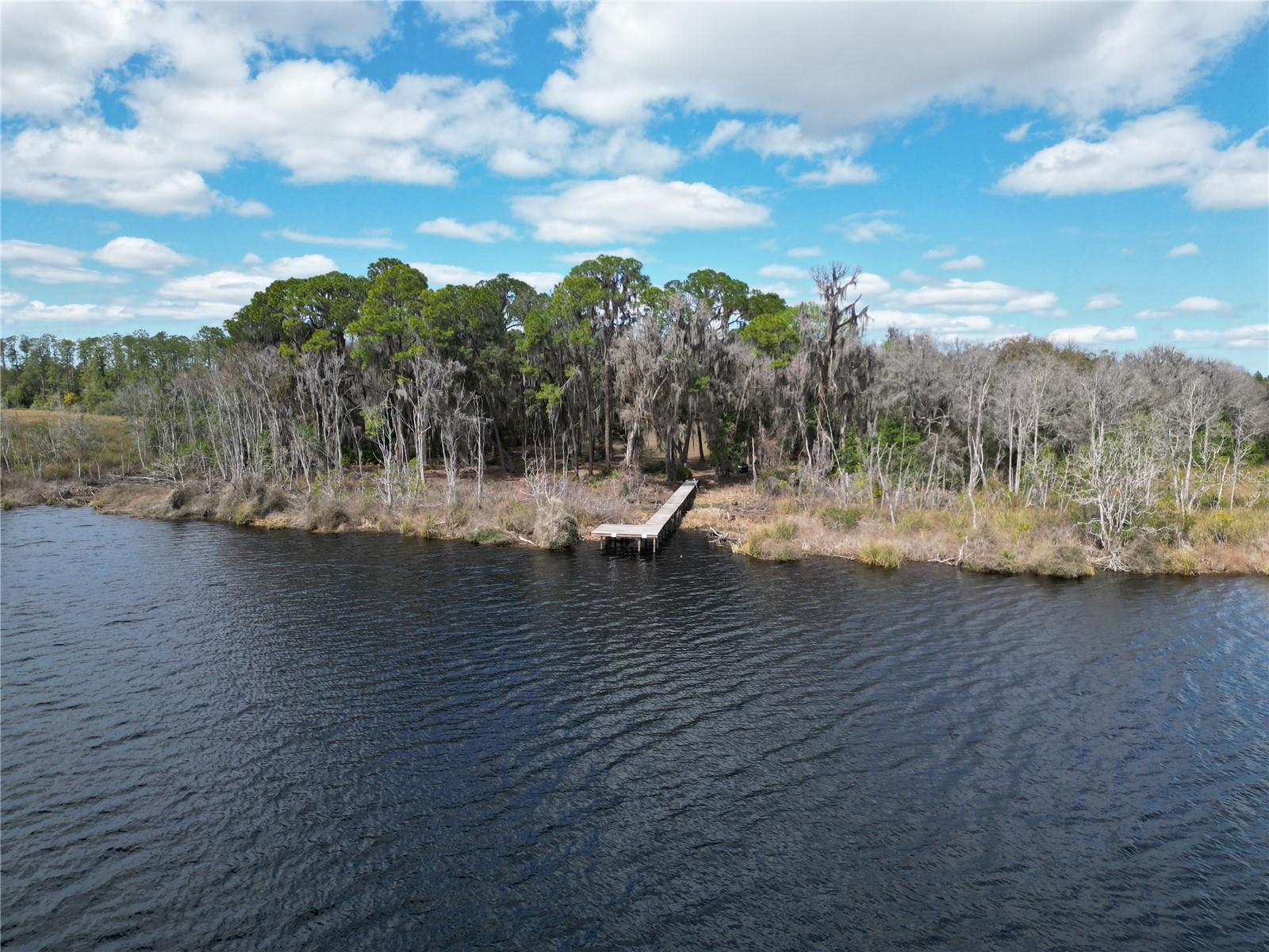 17830 NE 49TH STREET RD, SILVER SPRINGS, FL — photo 11
