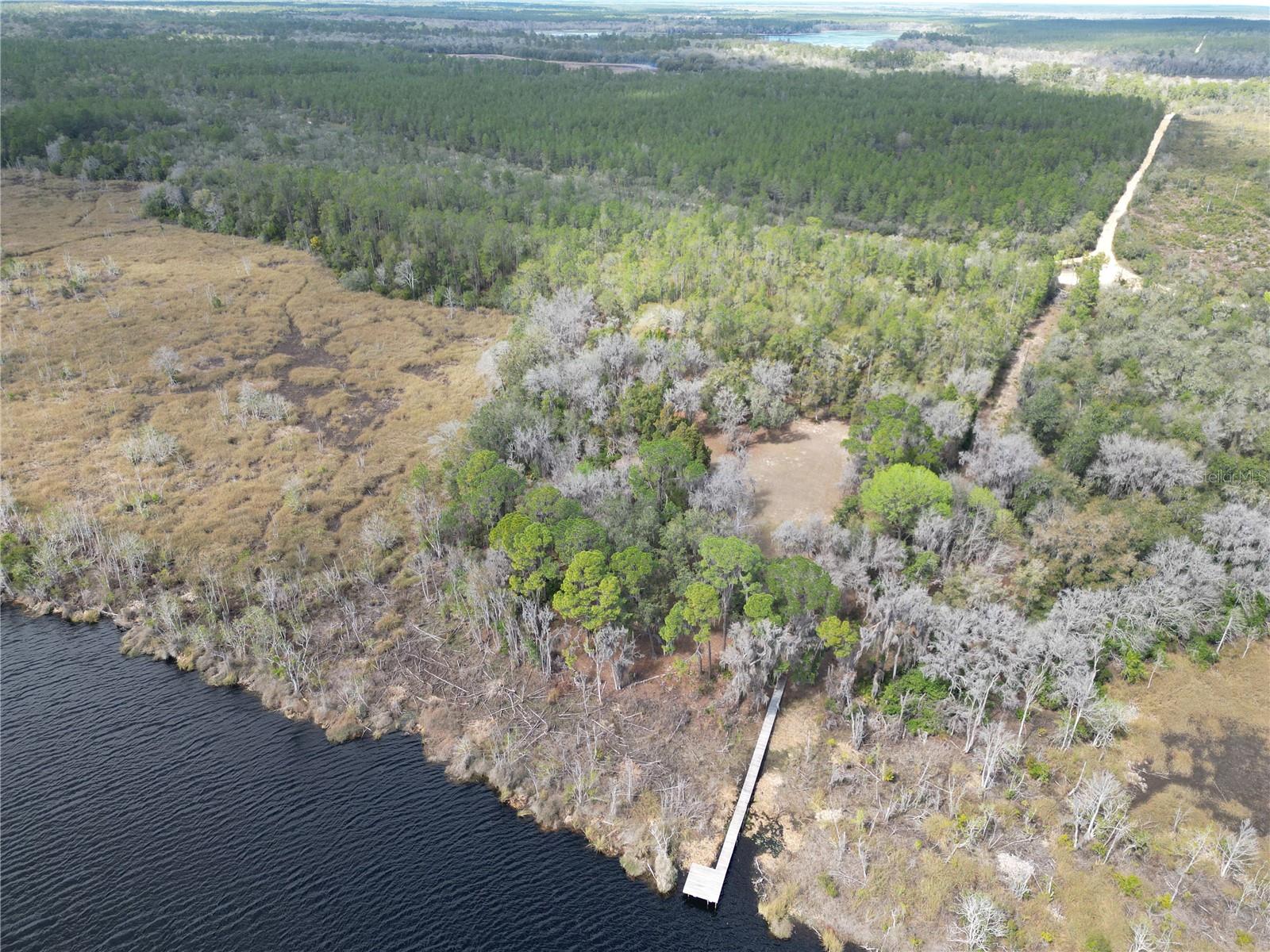 17830 NE 49TH STREET RD, SILVER SPRINGS, FL — photo 12