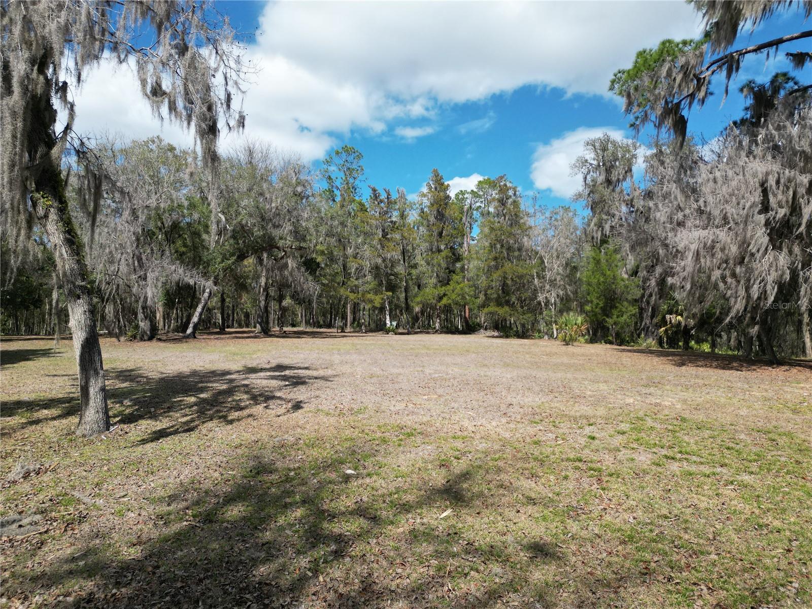 17830 NE 49TH STREET RD, SILVER SPRINGS, FL — photo 15