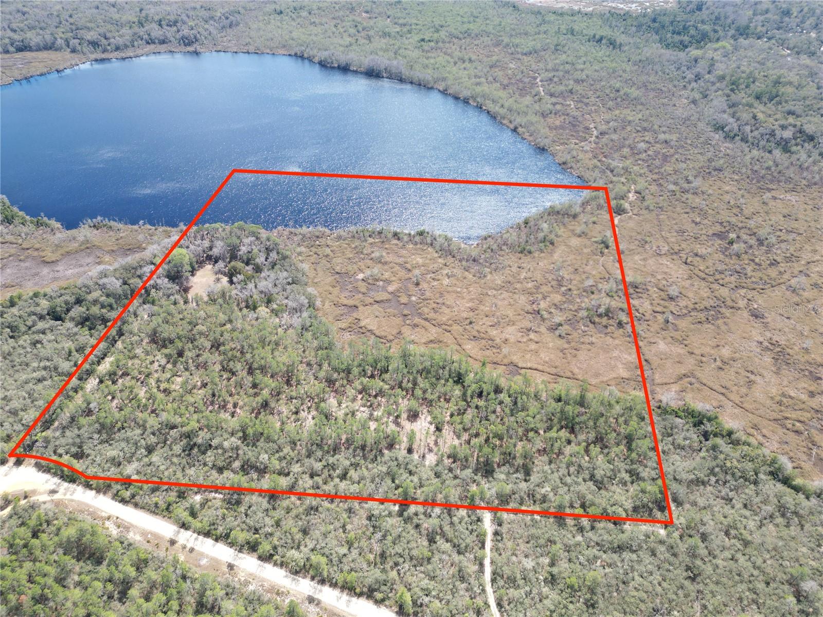 17830 NE 49TH STREET RD, SILVER SPRINGS, FL — photo 8