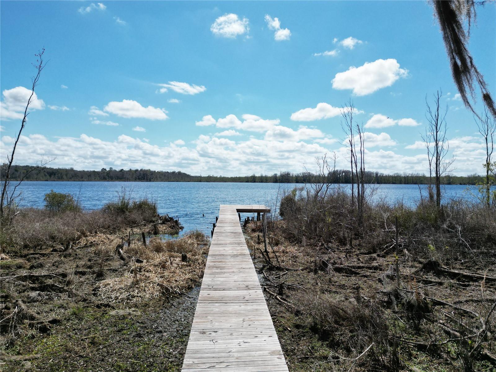 17830 NE 49TH STREET RD, SILVER SPRINGS, FL — photo 21