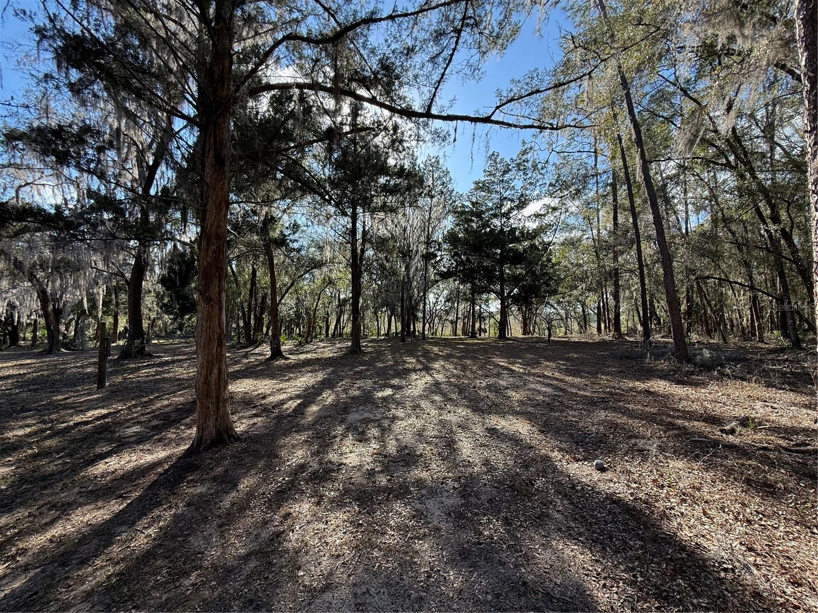 17830 NE 49TH STREET RD, SILVER SPRINGS, FL — photo 22