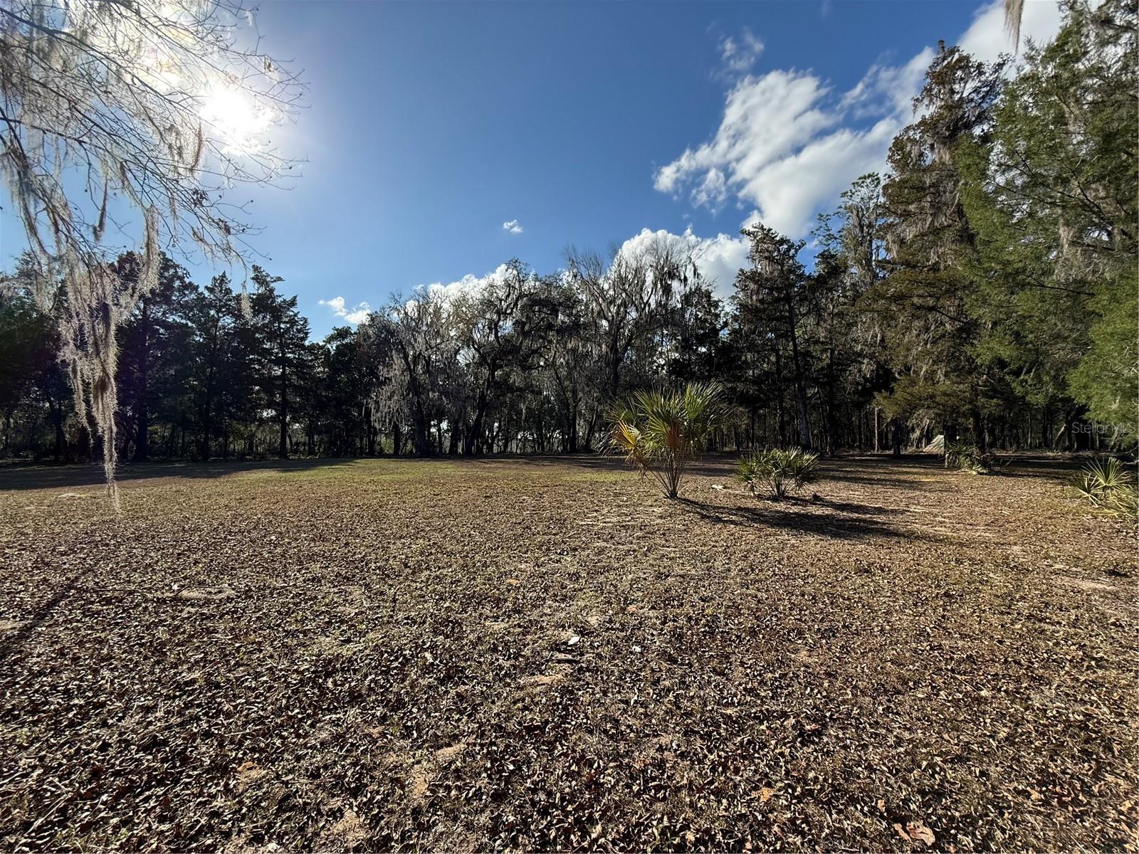 17830 NE 49TH STREET RD, SILVER SPRINGS, FL — photo 23
