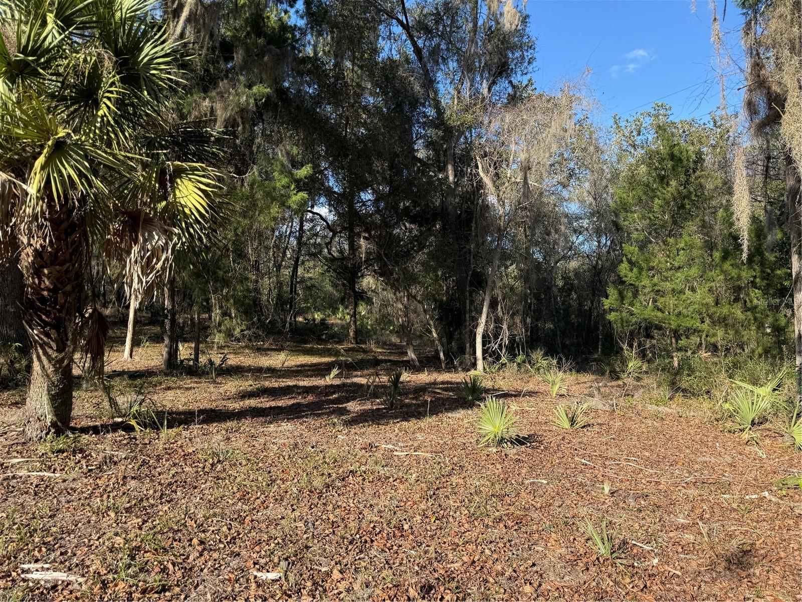 17830 NE 49TH STREET RD, SILVER SPRINGS, FL — photo 24