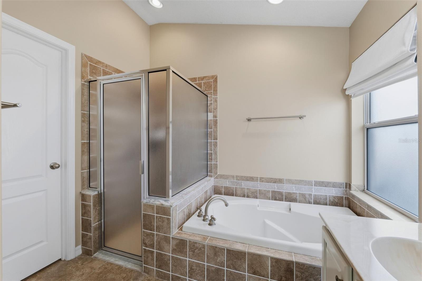 16810 TAYLOW WAY, ODESSA, FL — photo 19