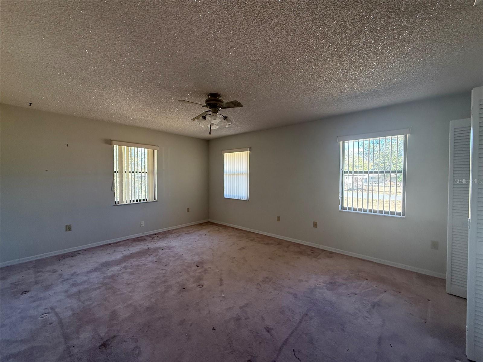34847 LEARN RD, LEESBURG, FL — photo 37