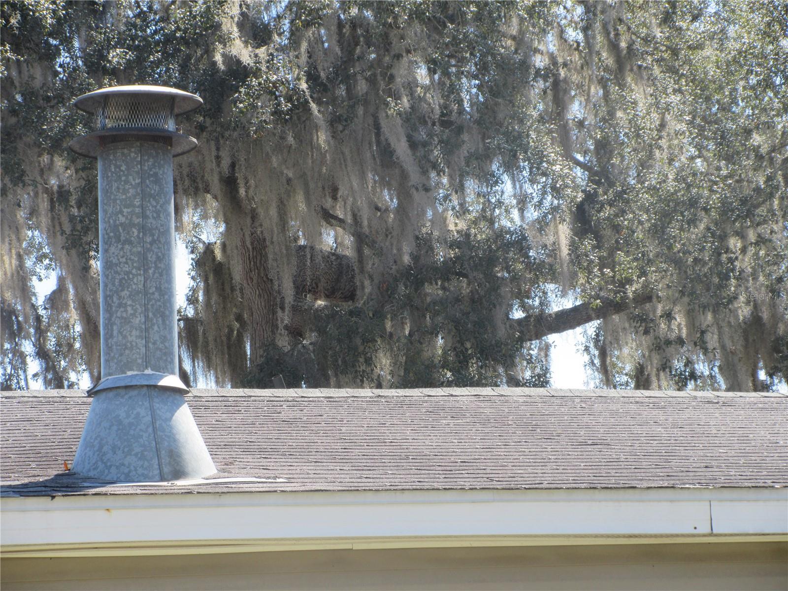 18601 SE 24TH LN, OCKLAWAHA, FL — photo 96
