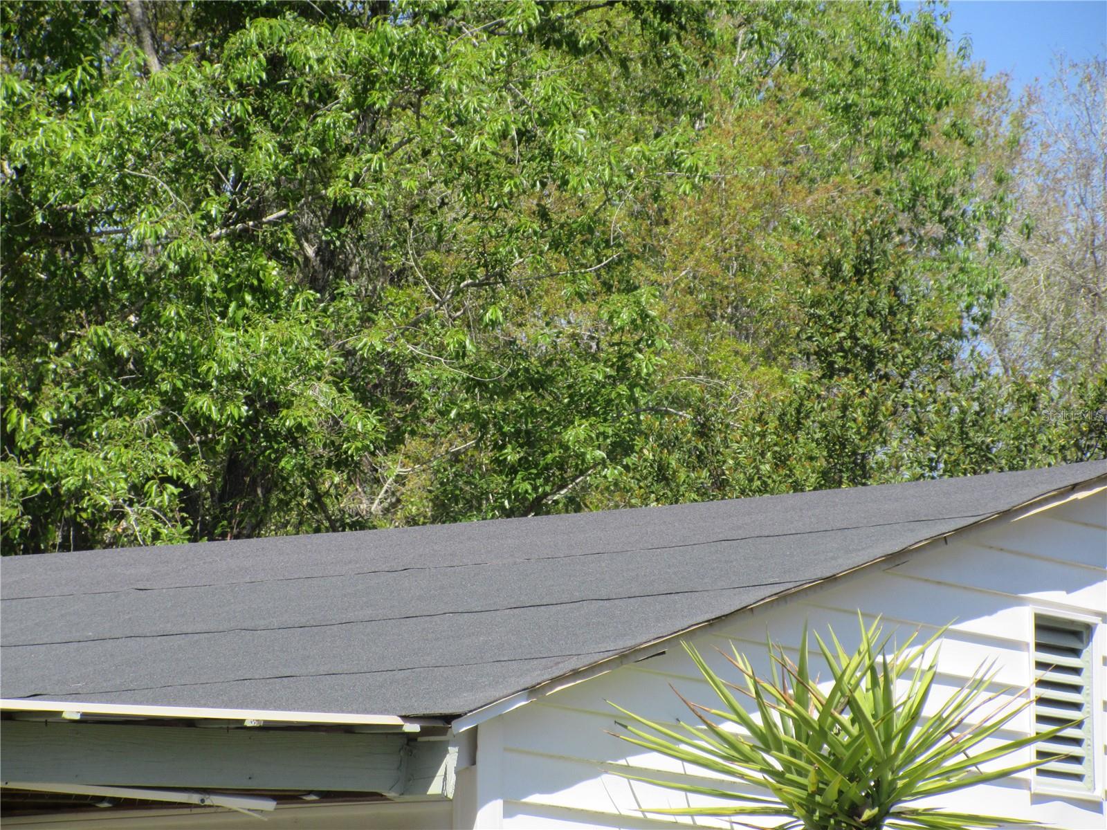 18601 SE 24TH LN, OCKLAWAHA, FL — photo 97