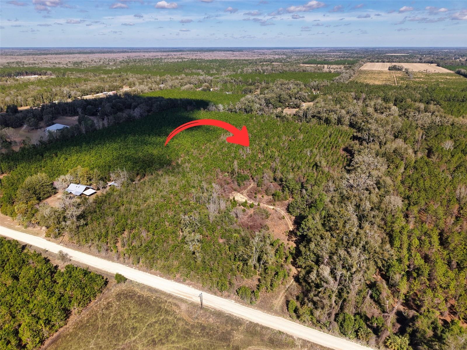 Lot 17 SW 80TH ST, TRENTON, FL