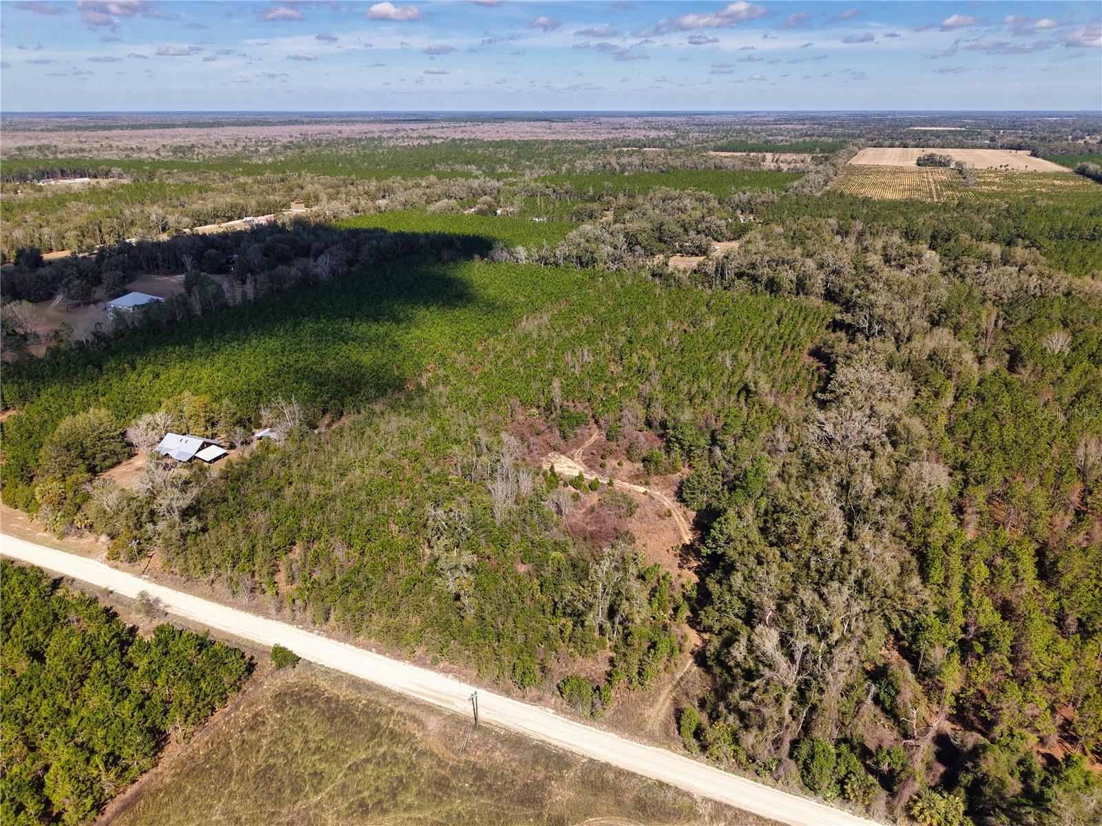 Lot 17 SW 80TH ST, TRENTON, FL — photo 3