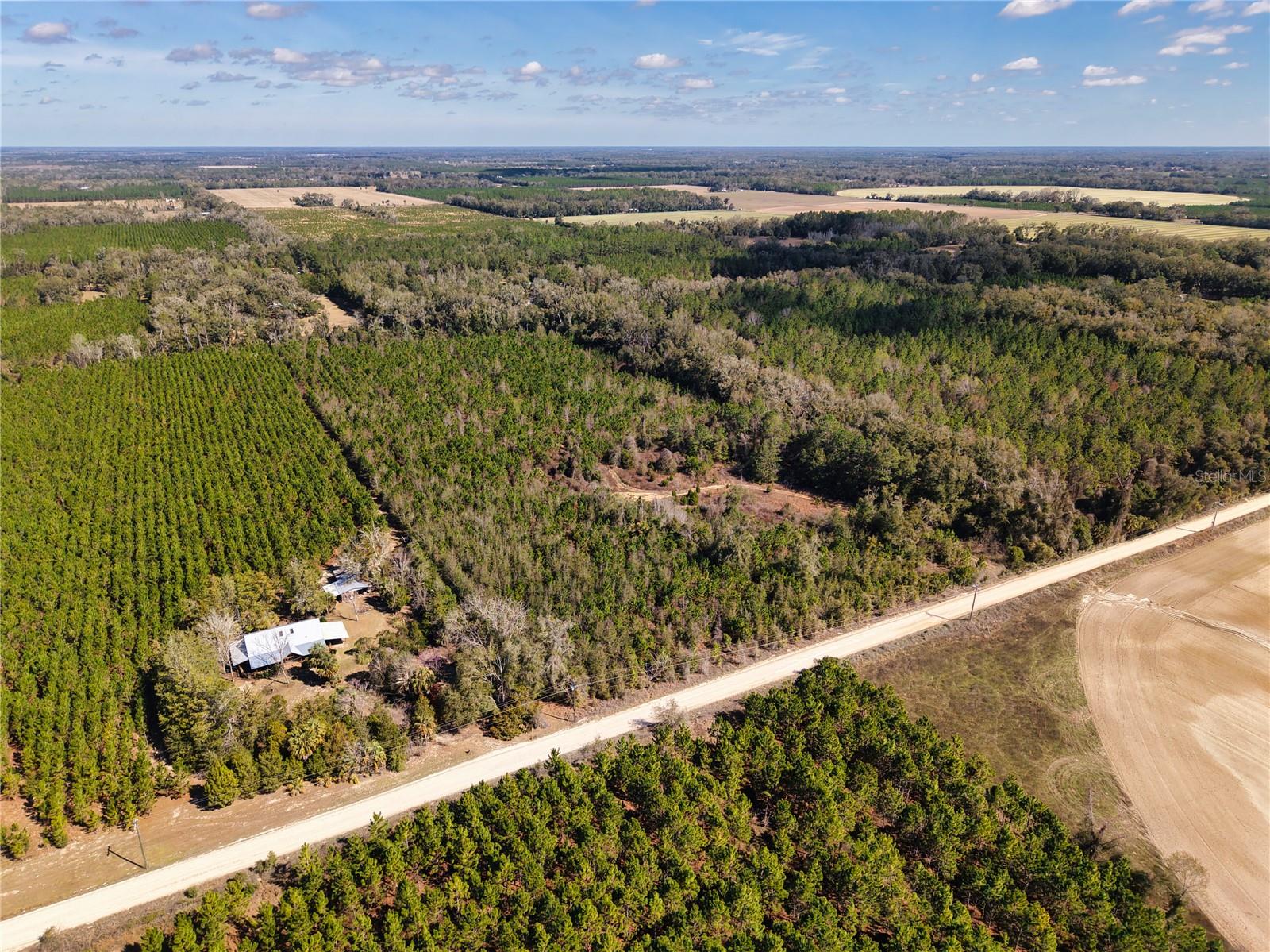 Lot 17 SW 80TH ST, TRENTON, FL — photo 4