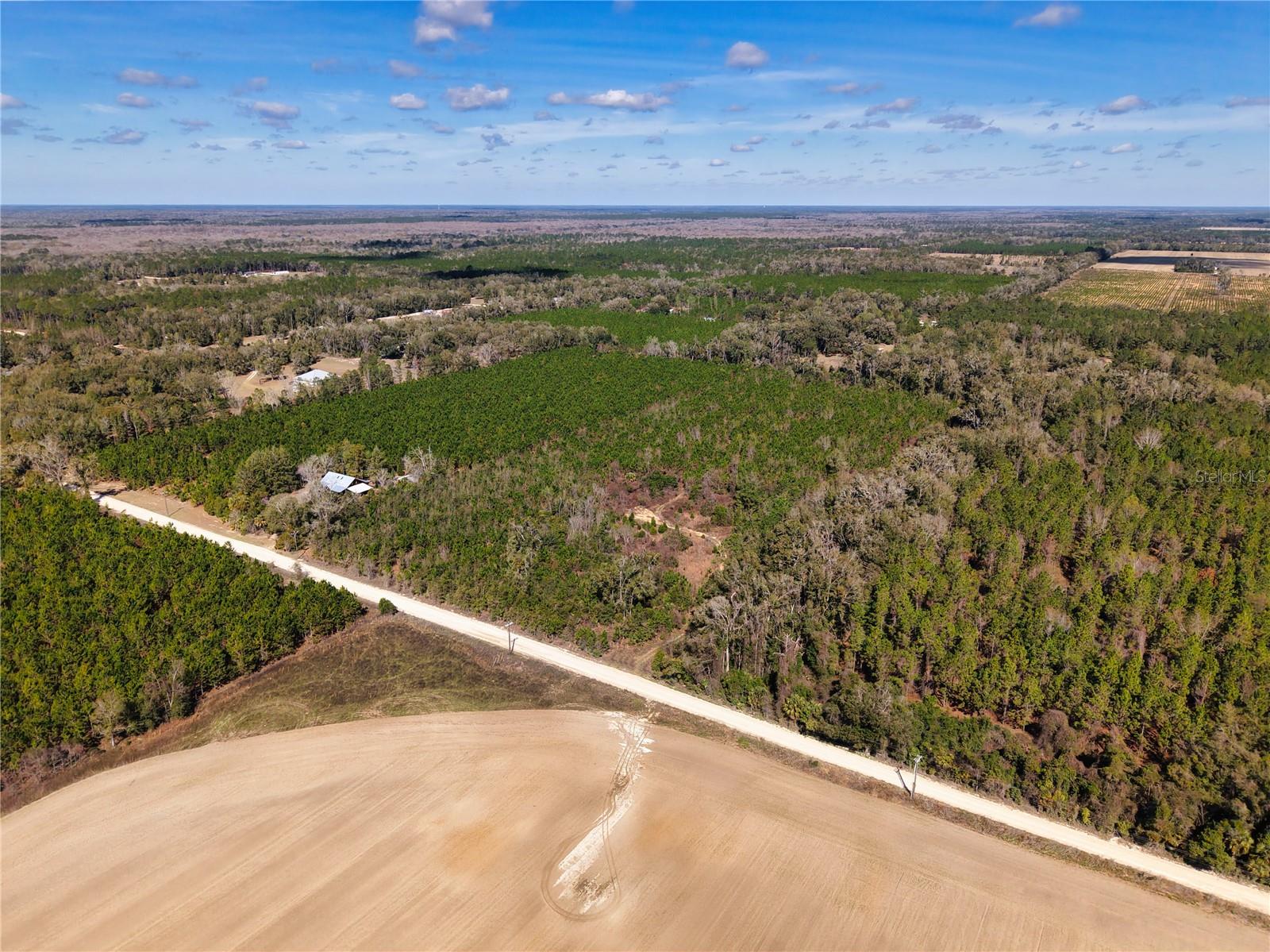 Lot 17 SW 80TH ST, TRENTON, FL — photo 6