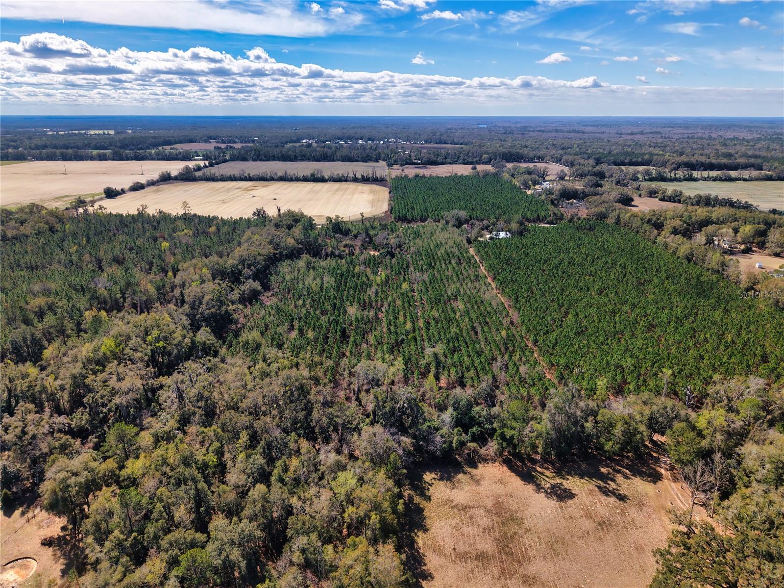 Lot 17 SW 80TH ST, TRENTON, FL — photo 7