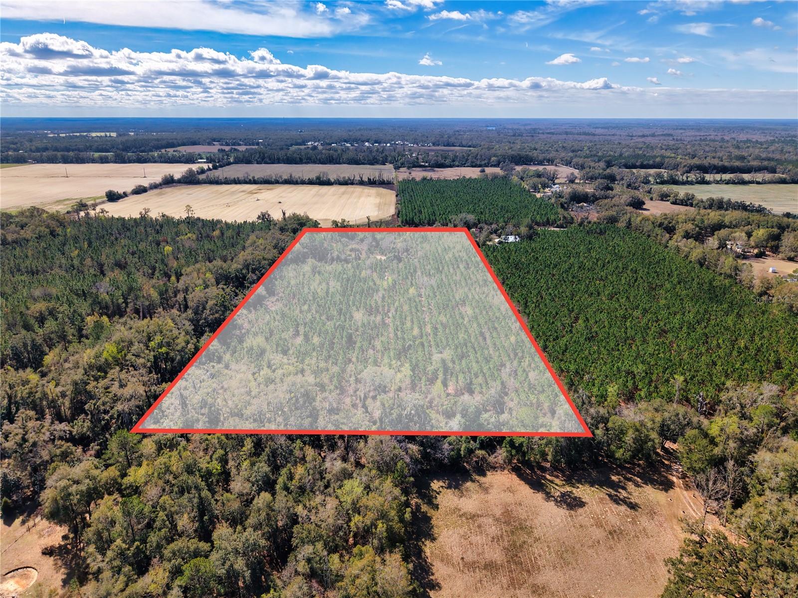 Lot 17 SW 80TH ST, TRENTON, FL — photo 8