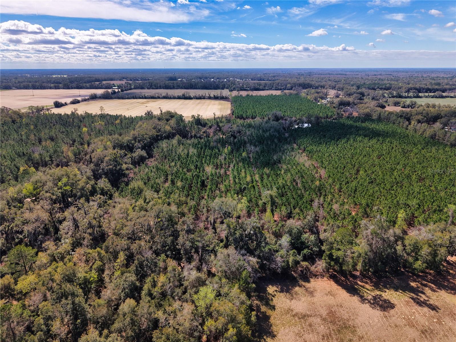 Lot 17 SW 80TH ST, TRENTON, FL — photo 9