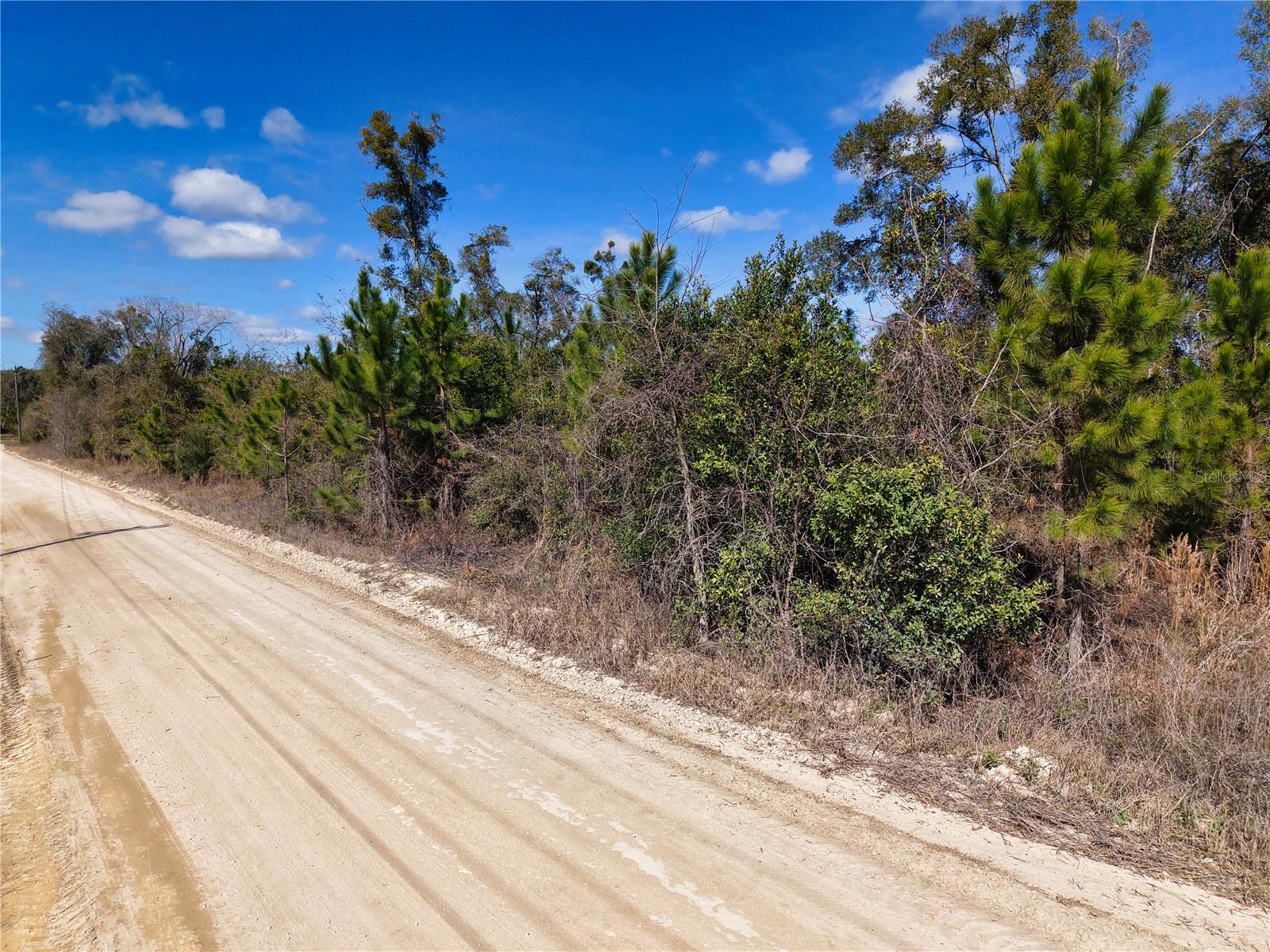Lot 17 SW 80TH ST, TRENTON, FL — photo 10
