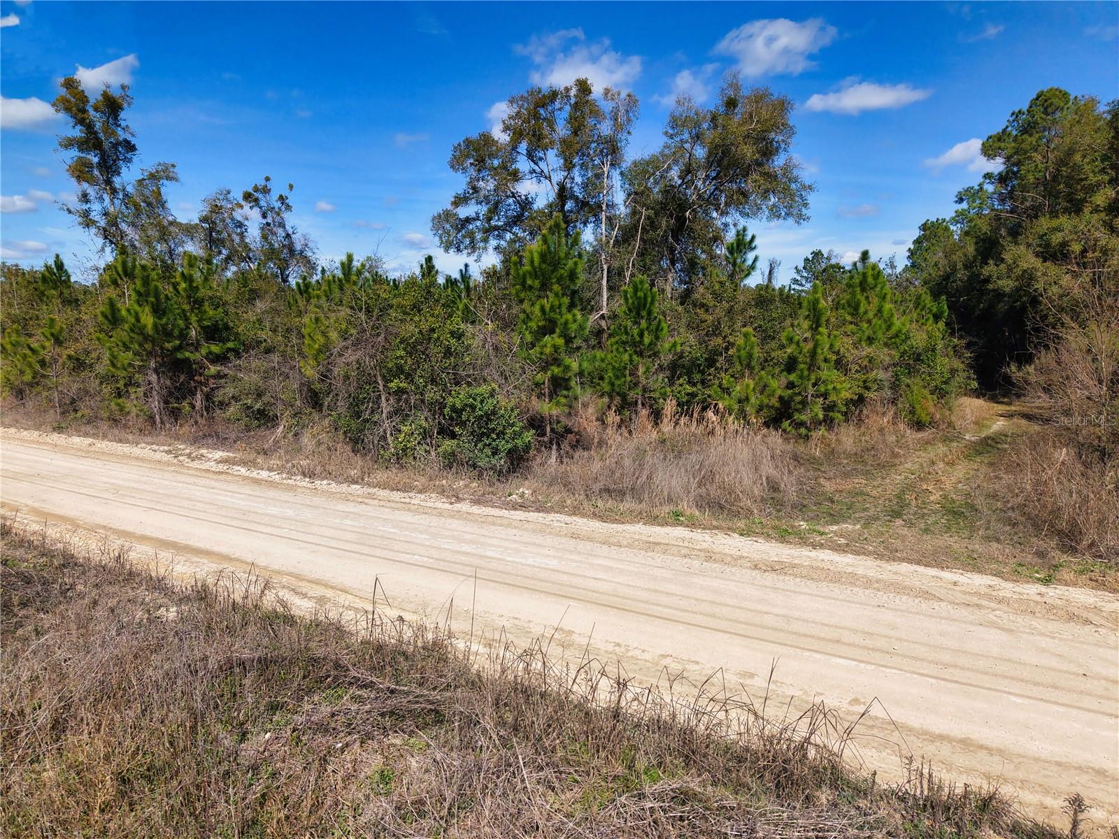 Lot 17 SW 80TH ST, TRENTON, FL — photo 11
