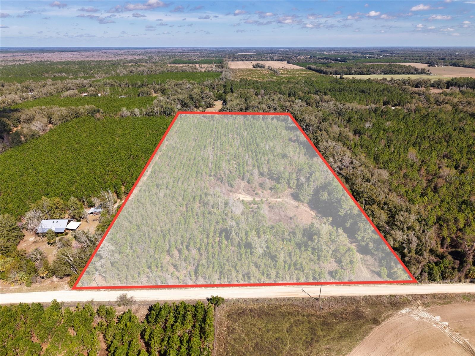 Lot 17 SW 80TH ST, TRENTON, FL — photo 12