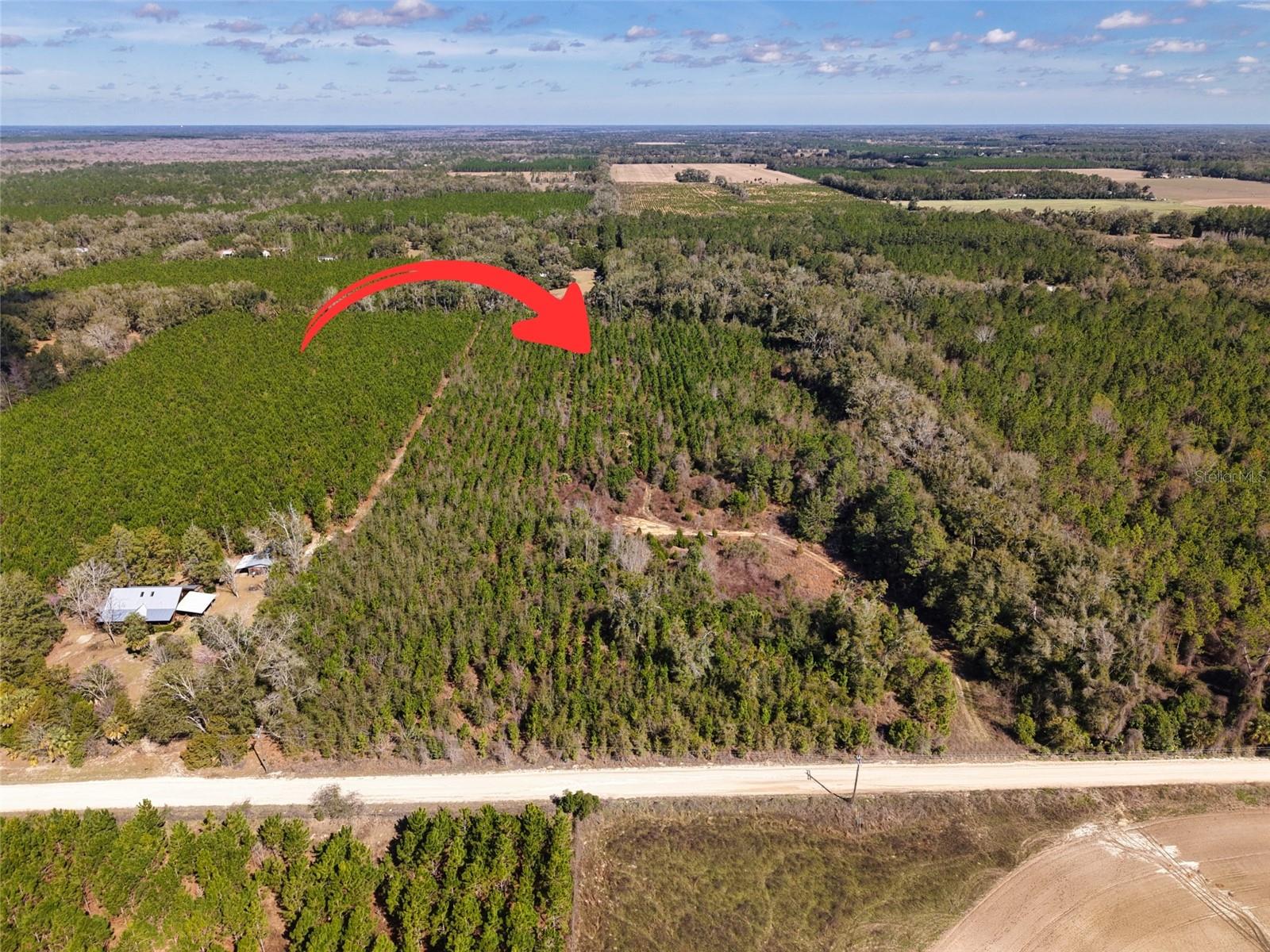 Lot 17 SW 80TH ST, TRENTON, FL — photo 13