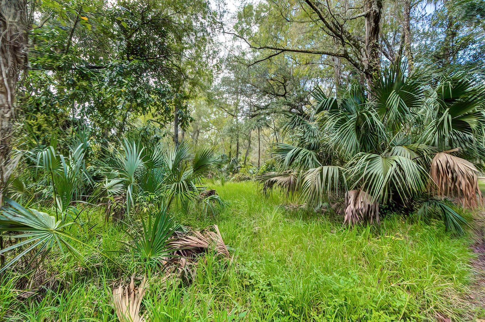 14902 DEAD RIVER RD, THONOTOSASSA, FL