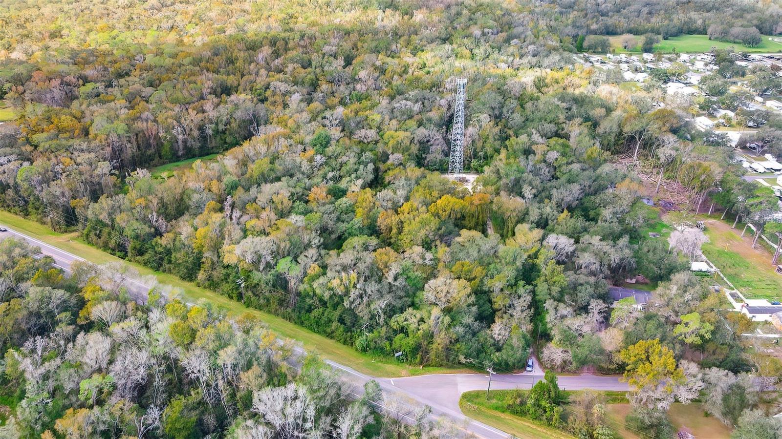 14902 DEAD RIVER RD, THONOTOSASSA, FL — photo 2