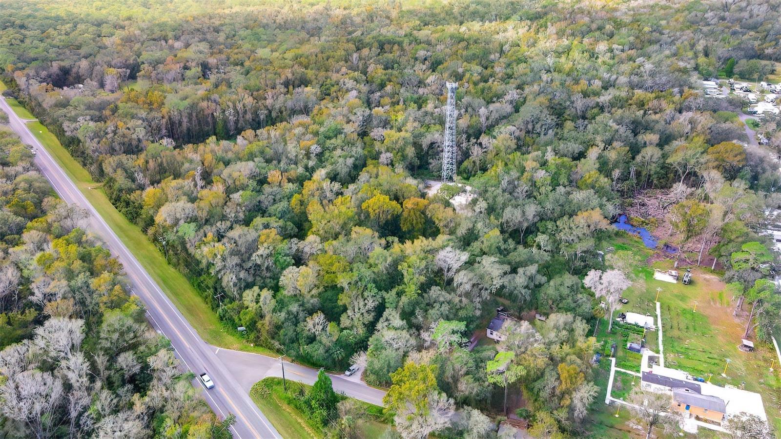 14902 DEAD RIVER RD, THONOTOSASSA, FL — photo 3