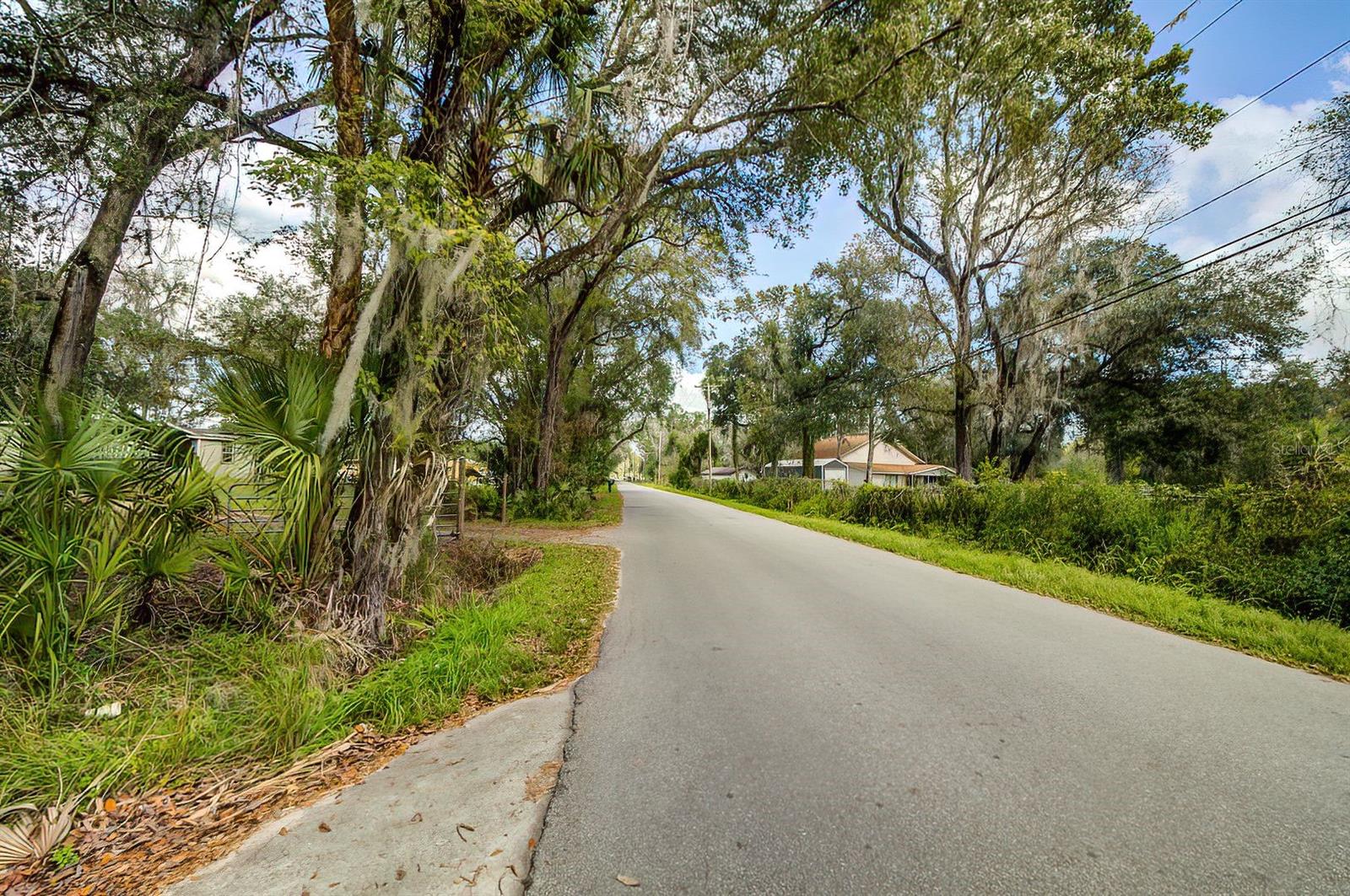 14902 DEAD RIVER RD, THONOTOSASSA, FL — photo 4