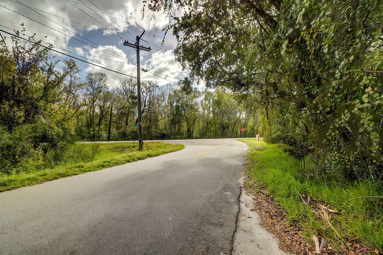 14902 DEAD RIVER RD, THONOTOSASSA, FL — photo 5