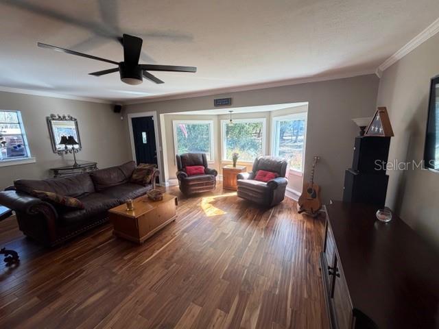 23404 HOBDY RD, SORRENTO, FL — photo 39