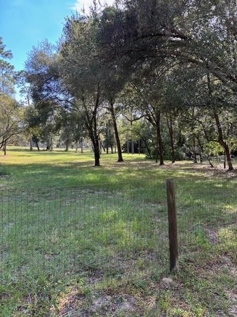 23404 HOBDY RD, SORRENTO, FL — photo 69