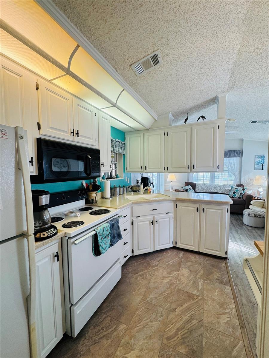 603 ARNOLD PALMER DR, DAVENPORT, FL — photo 20
