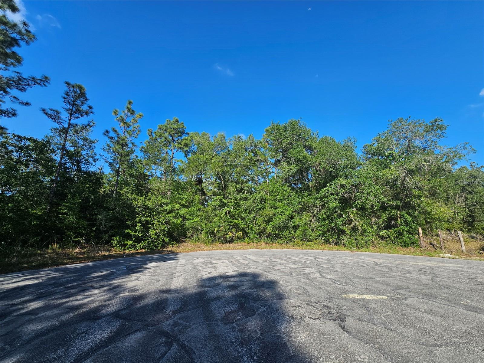 13431 FLAGSTAFF DR, BROOKSVILLE, FL — photo 2