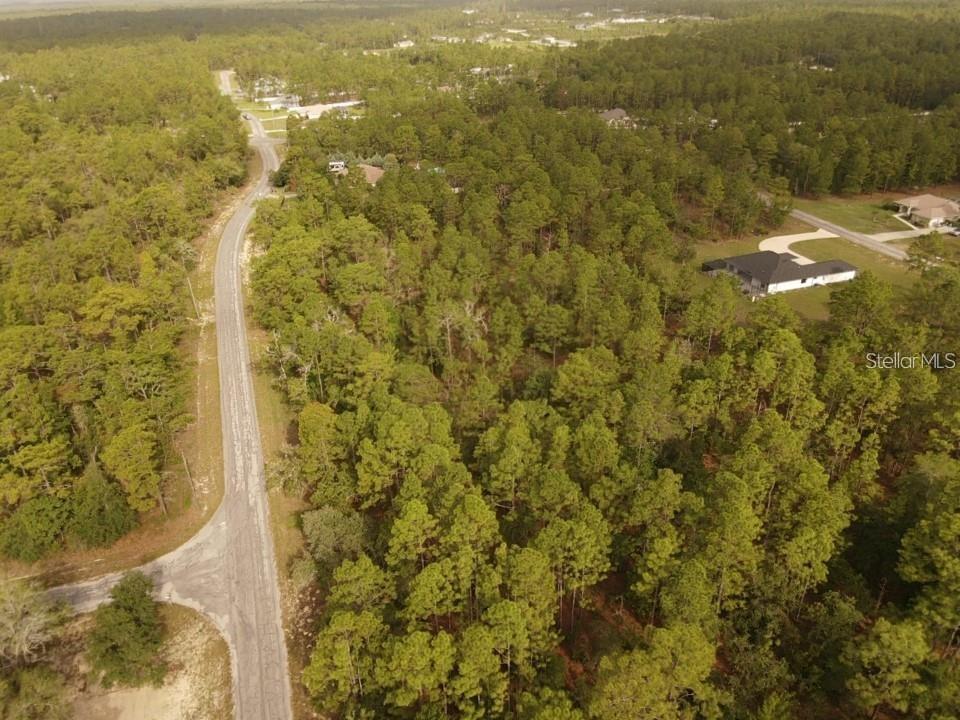 13431 FLAGSTAFF DR, BROOKSVILLE, FL — photo 8