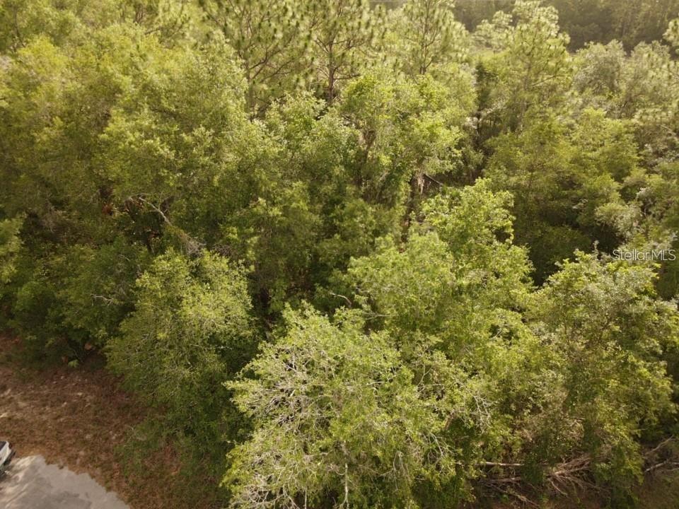 13431 FLAGSTAFF DR, BROOKSVILLE, FL — photo 11