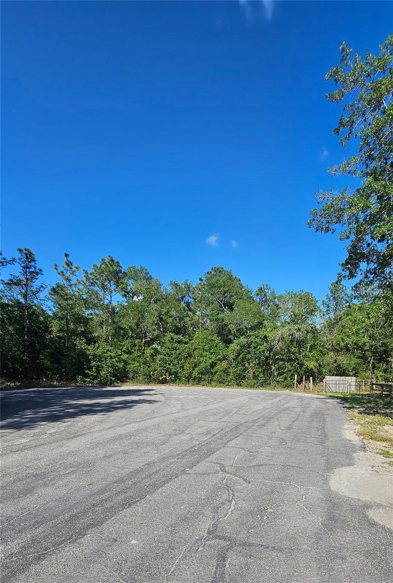 13431 FLAGSTAFF DR, BROOKSVILLE, FL — photo 19