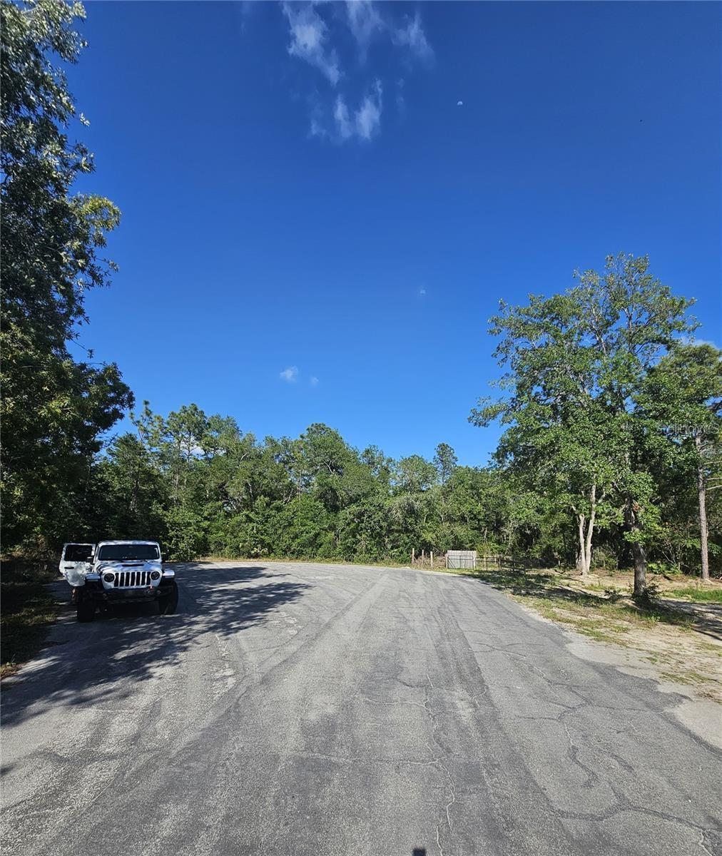 13431 FLAGSTAFF DR, BROOKSVILLE, FL — photo 20