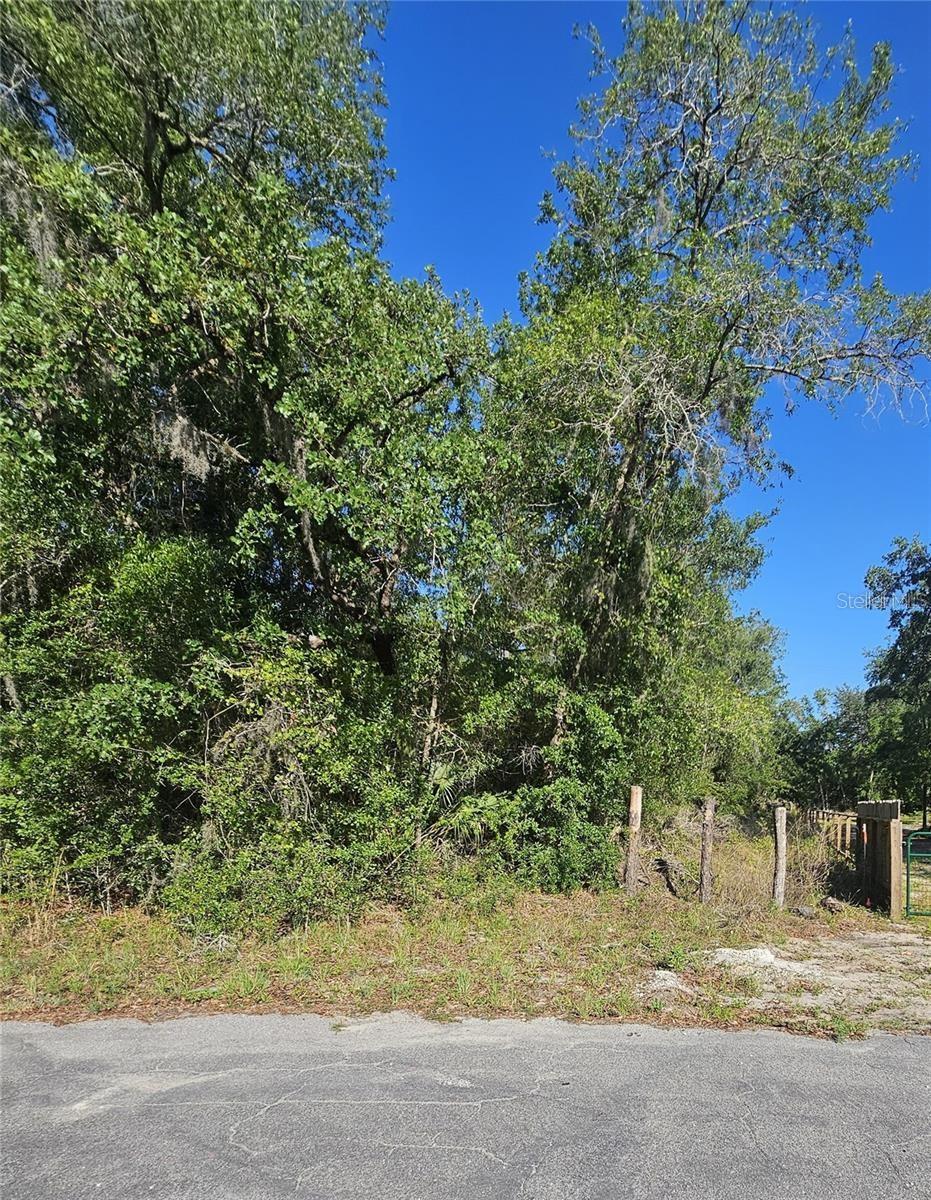 13431 FLAGSTAFF DR, BROOKSVILLE, FL — photo 22