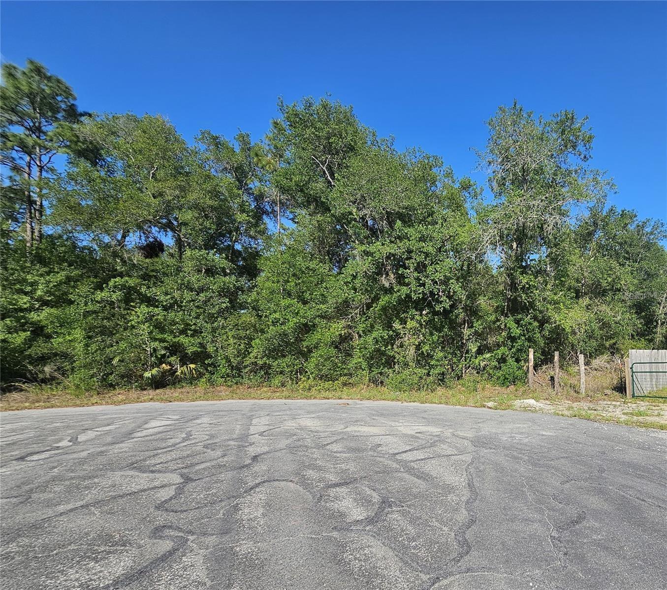 13431 FLAGSTAFF DR, BROOKSVILLE, FL — photo 23