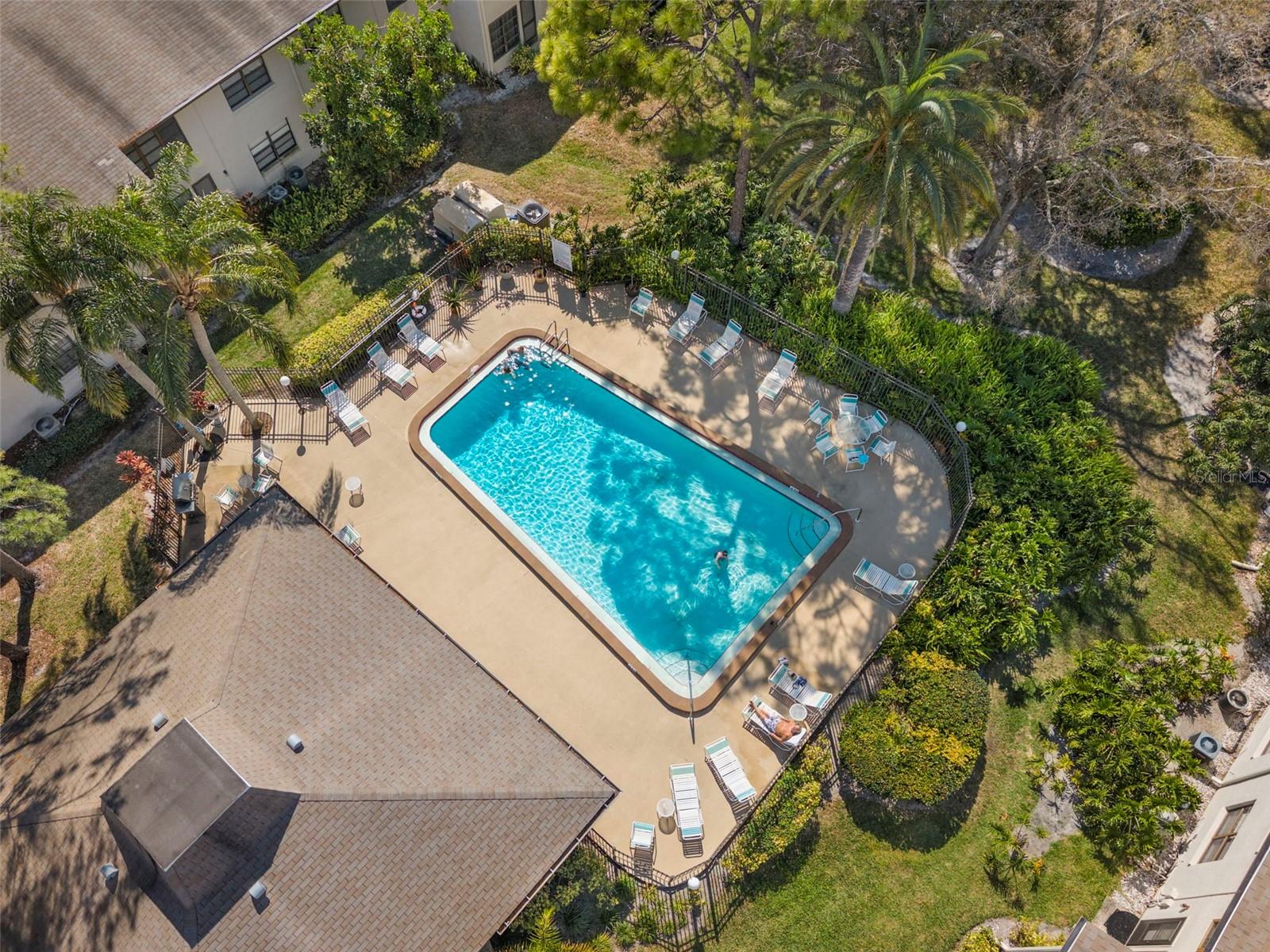 3034 EASTLAND BLVD #D104, CLEARWATER, FL — photo 34