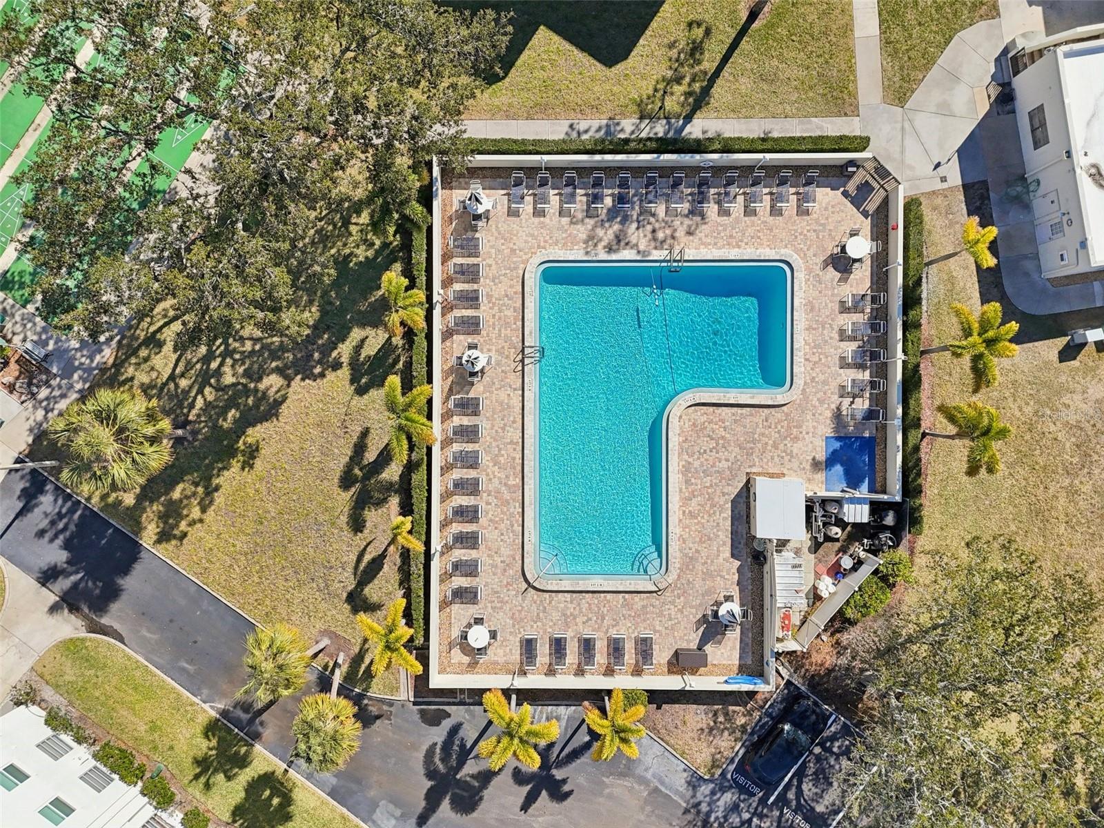 2700 BAYSHORE BLVD #1305, DUNEDIN, FL — photo 30