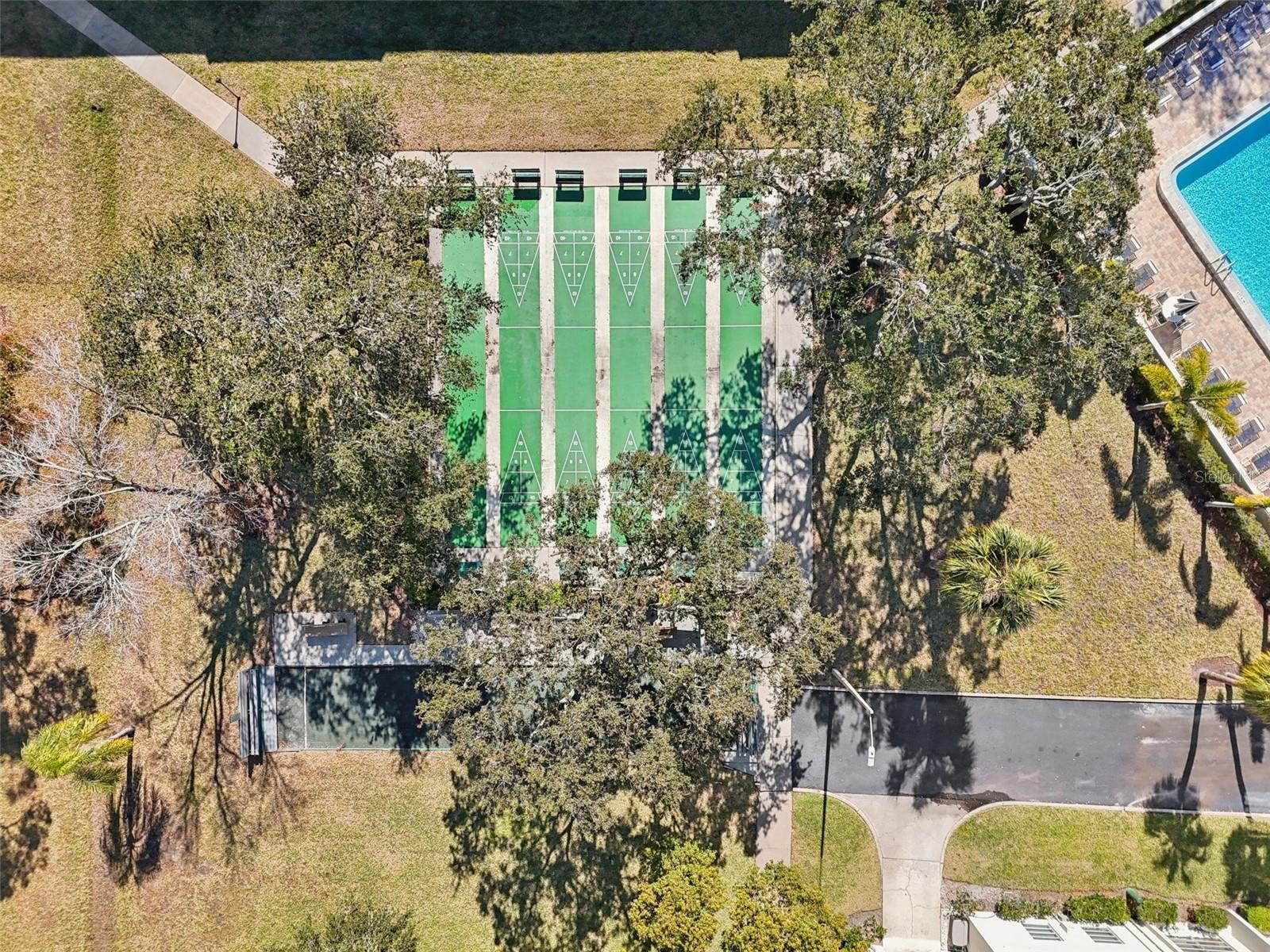 2700 BAYSHORE BLVD #1305, DUNEDIN, FL — photo 32