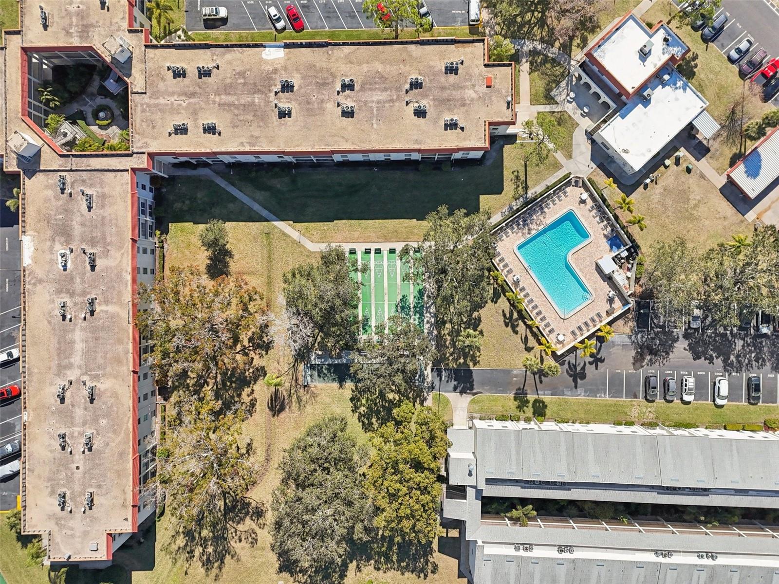 2700 BAYSHORE BLVD #1305, DUNEDIN, FL — photo 34