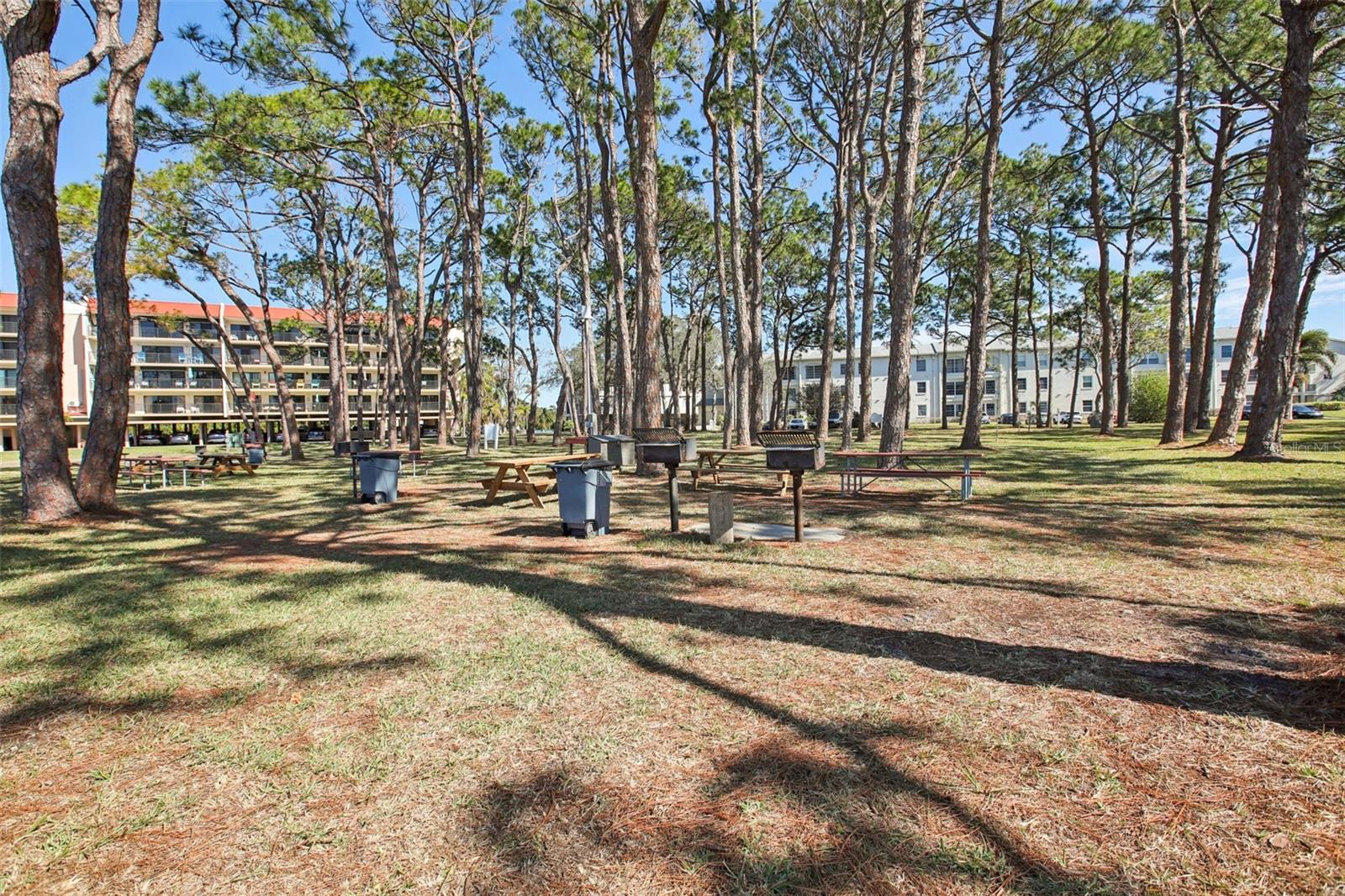 2700 BAYSHORE BLVD #1305, DUNEDIN, FL — photo 35
