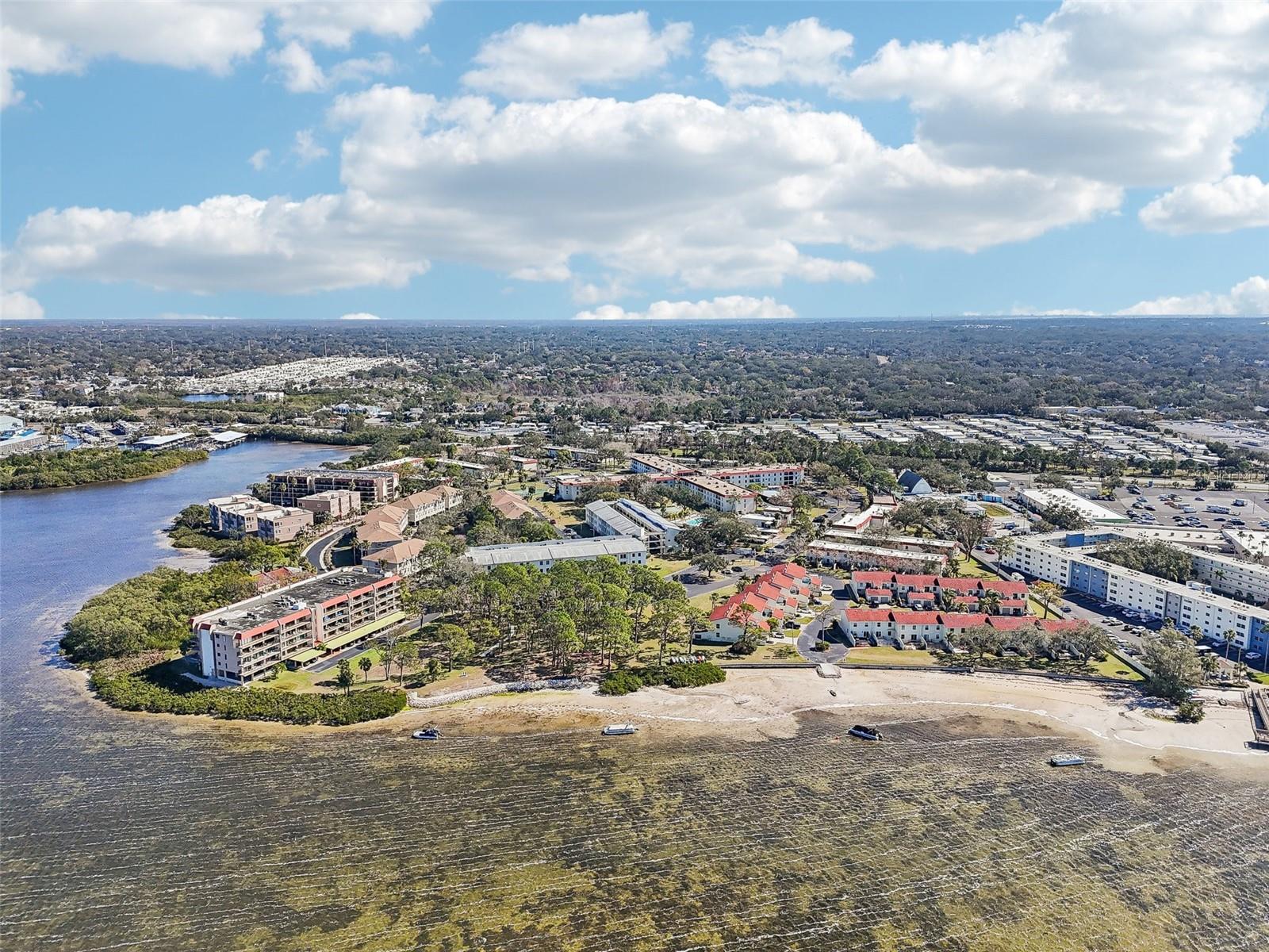 2700 BAYSHORE BLVD #1305, DUNEDIN, FL — photo 38