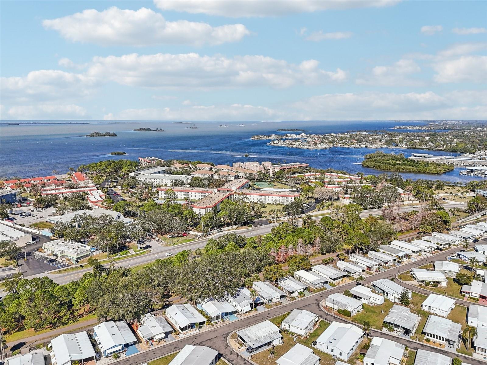 2700 BAYSHORE BLVD #1305, DUNEDIN, FL — photo 45