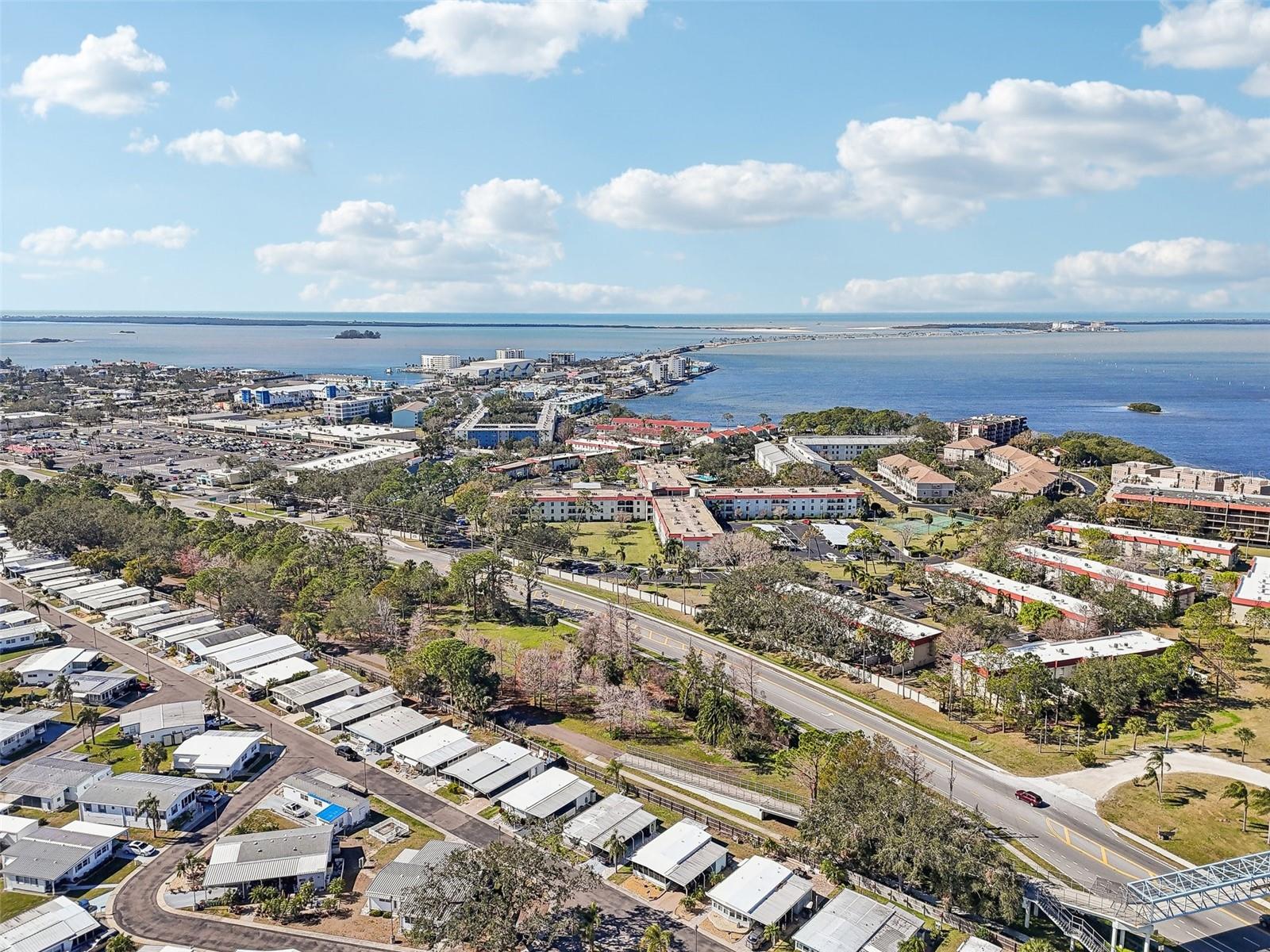 2700 BAYSHORE BLVD #1305, DUNEDIN, FL — photo 46
