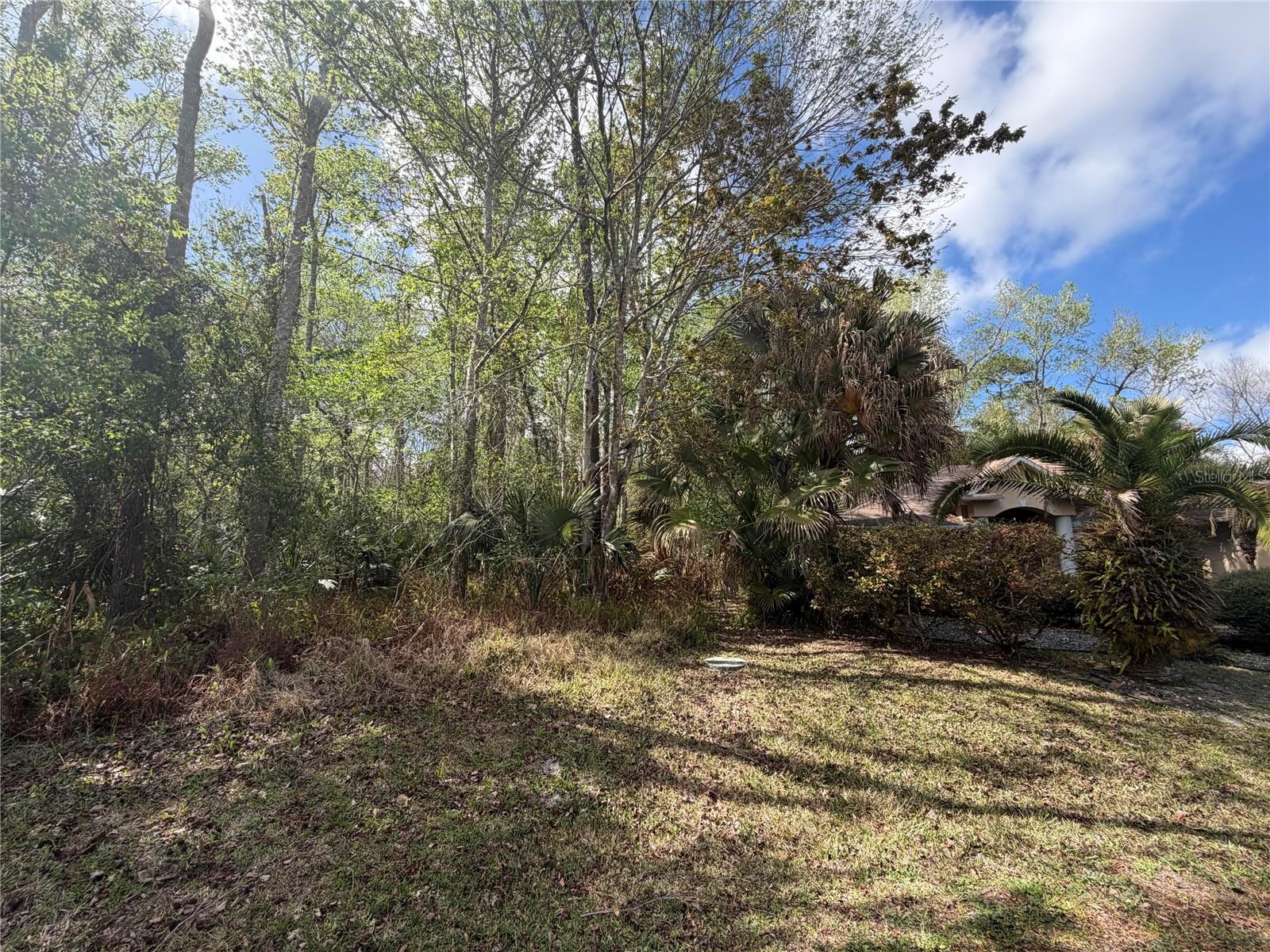 6 ZEPPELIN CT, PALM COAST, FL — photo 4