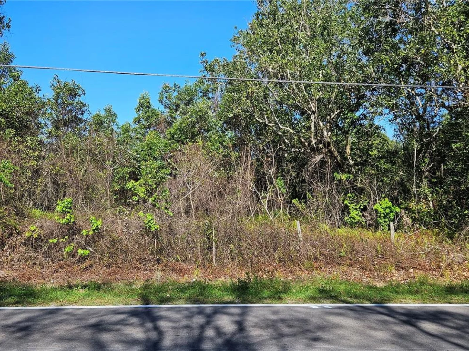 6336 TIMBERLANE RD, LAKE WALES, FL — photo 5